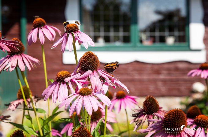 MED09DA3A15054C4E538BDFB7944C7CAD4F