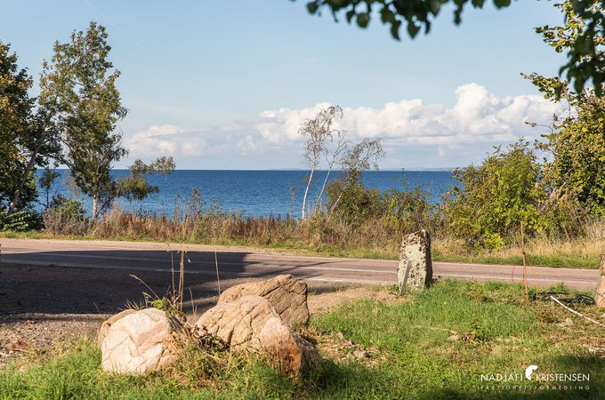 Kattviksvagen_TOMT_250902-07small.jpg