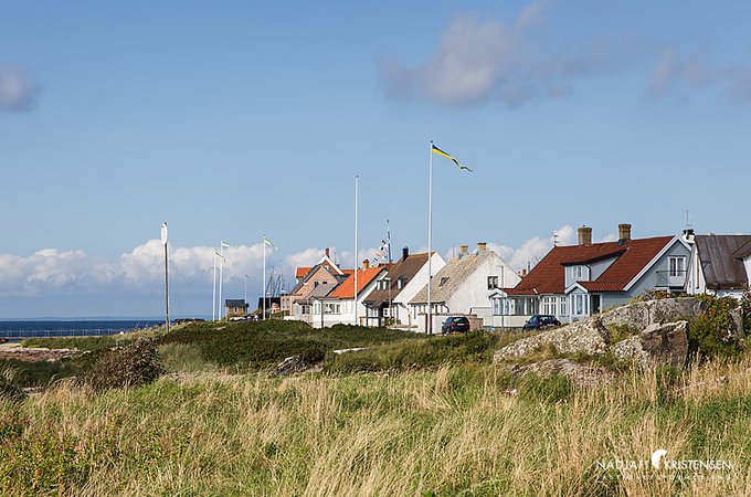 MED238F127ABF4240AC941A93356C055370