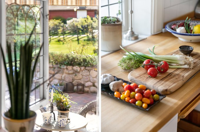 MED283866F674954C5FAE0034272EA69DBA