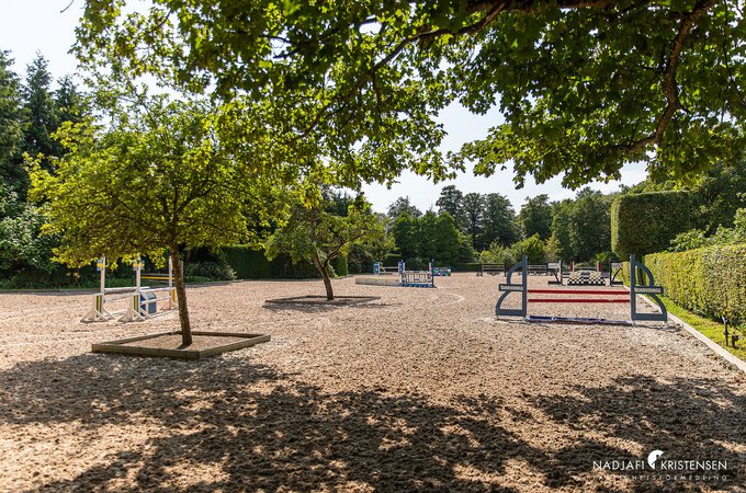 Vasatorpsallen_64_250702-010small.jpg