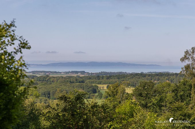 MED42C0B8EBCC62497CAB1135A598CF46B7