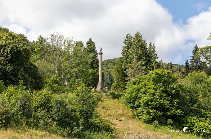 Kattviksvagen_311B_250702-15small.jpg