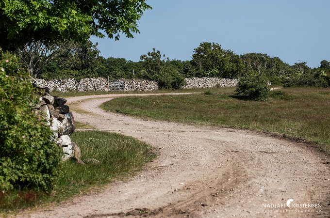 Burensviksvagen_256_250614-07small.jpg