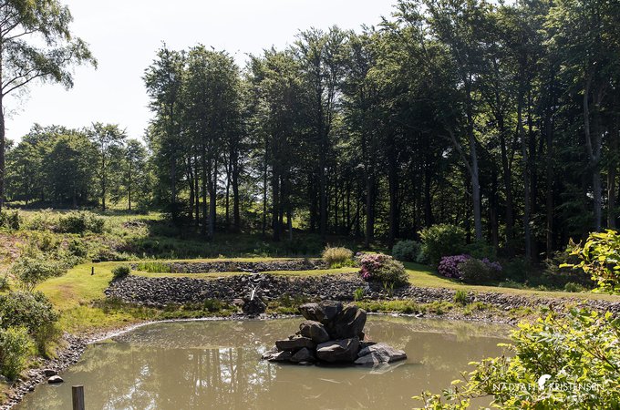 MED4D4F24A8F1034B1E93B3F1FA323B0107