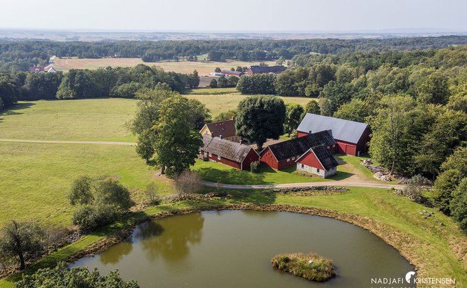 MED5225F8E0FE18417CADF5A1C71C6931B4