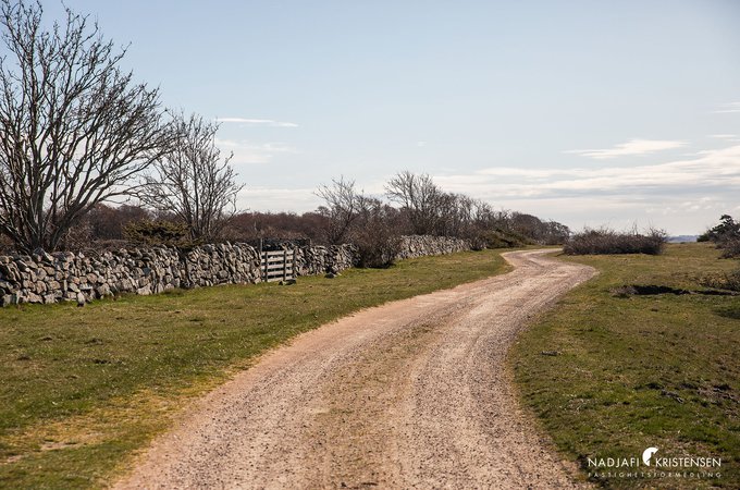 Burenviksvagen_256_250407-35small.jpg
