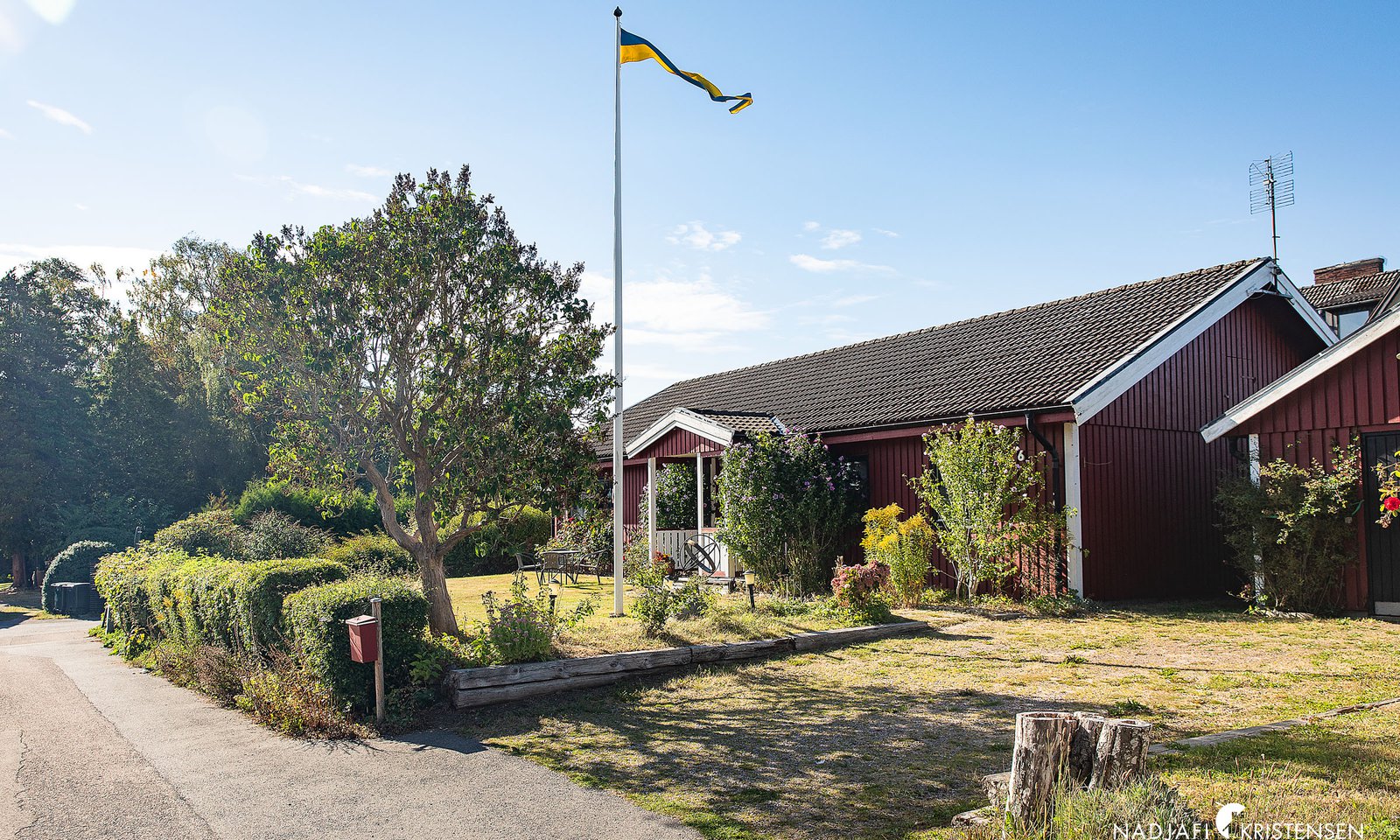 MED60459CF177CC4303B06973710939801E