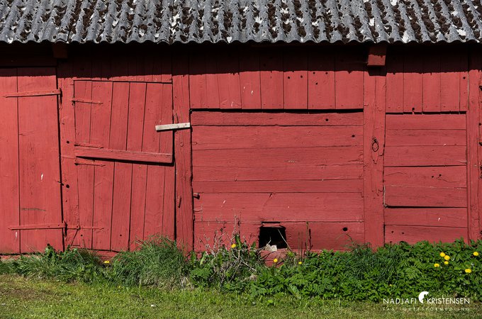 Erikstorpsvagen_107_250429-13small.jpg