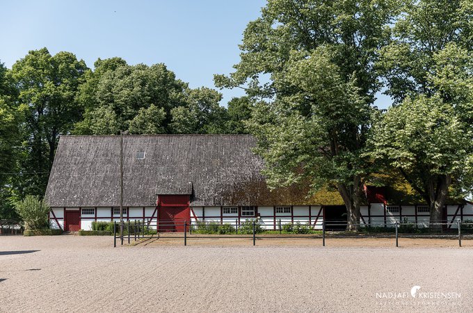 Vasatorpsallen_64_250702-007small.jpg
