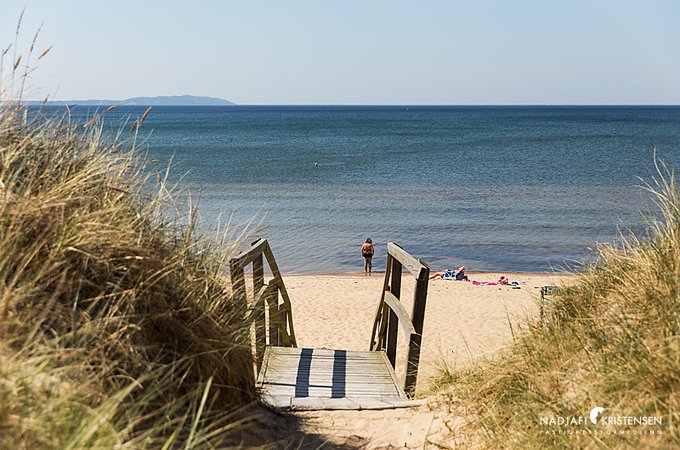 MED819C67A088F745AB9FE8CAD720E013D7