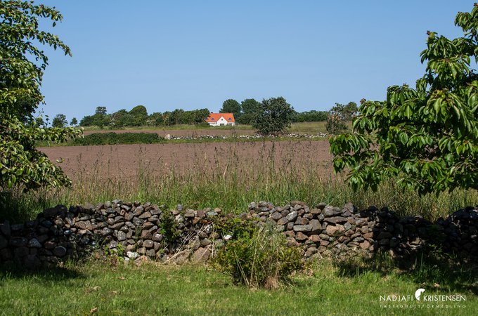 Burensviksvagen_256_250614-09small.jpg