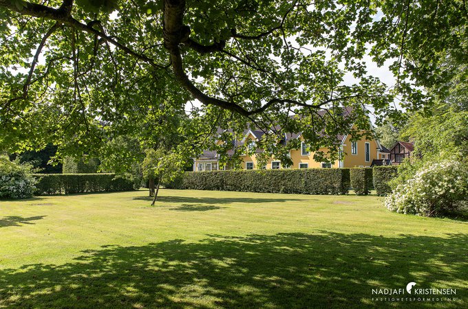 Vasatorpsallen_64_250702-031small.jpg