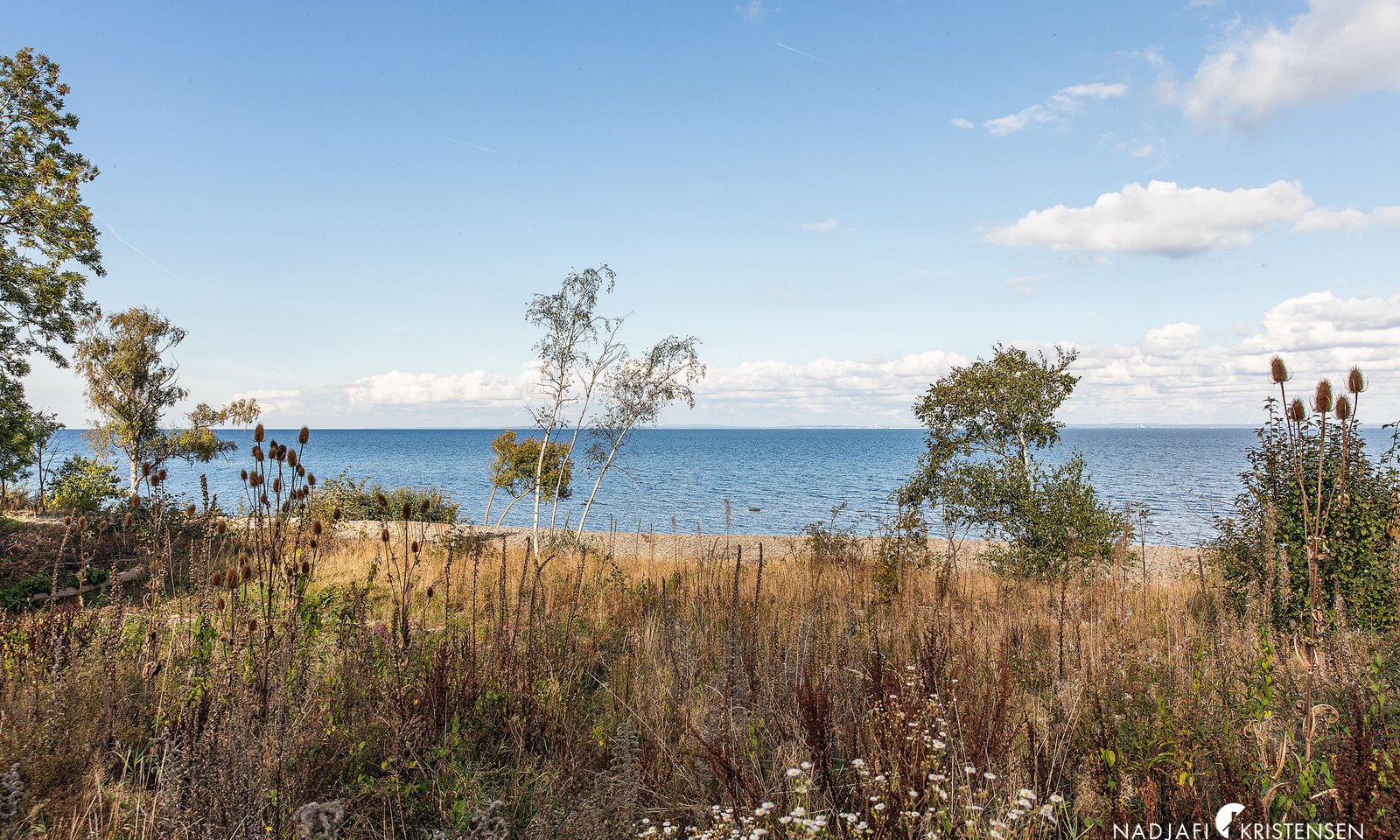 Kattviksvagen_TOMT_250902-12small.jpg
