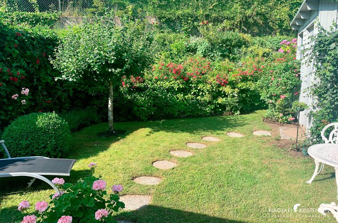 MED907B7757650C4976B956B62545C6D122