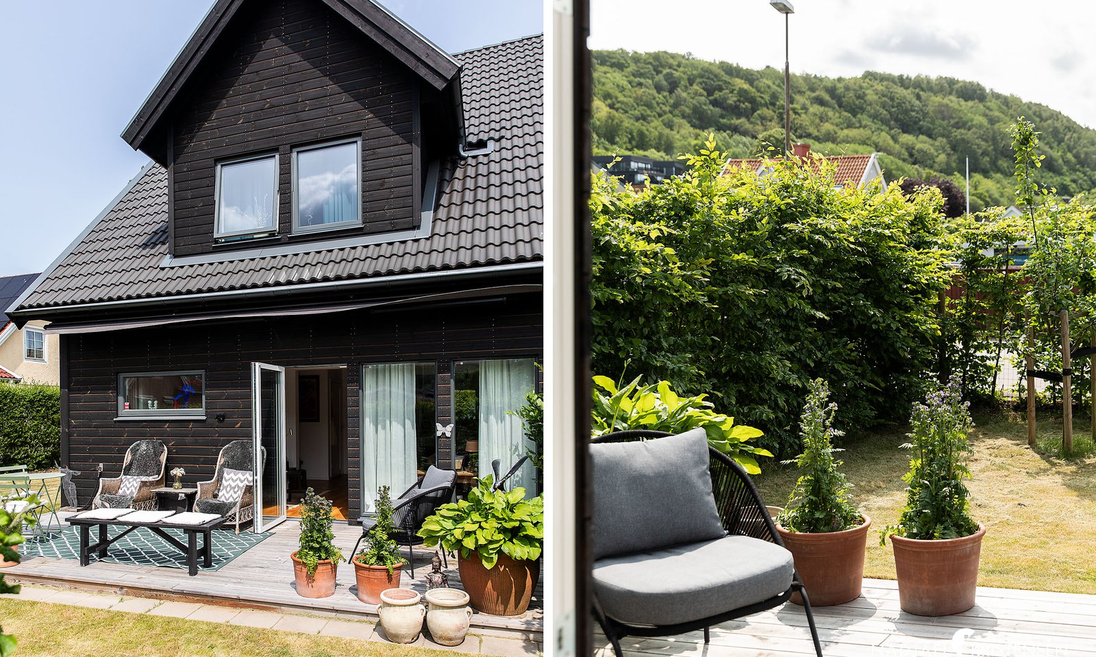 MED964455F4469045FAB97F2FE3DA4C056B