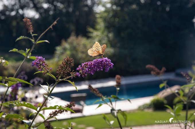 MED9D22E09243404098AD313EDBADDE62C6