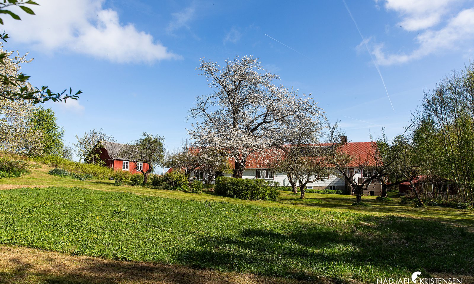 MEDA0F692FD6D8D452084E19DEBDD0970DE