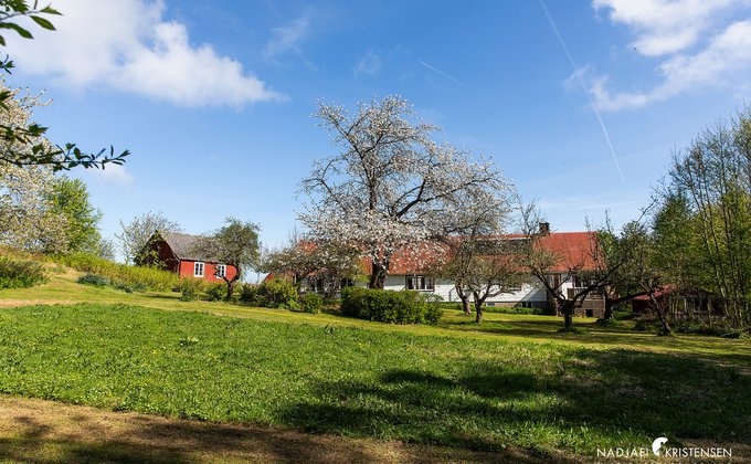 MEDA0F692FD6D8D452084E19DEBDD0970DE