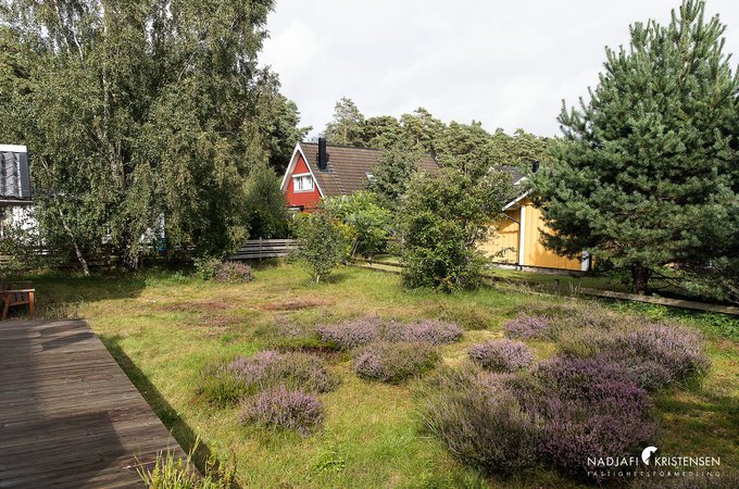 Korsnabbsvagen_15_250806-36small.jpg