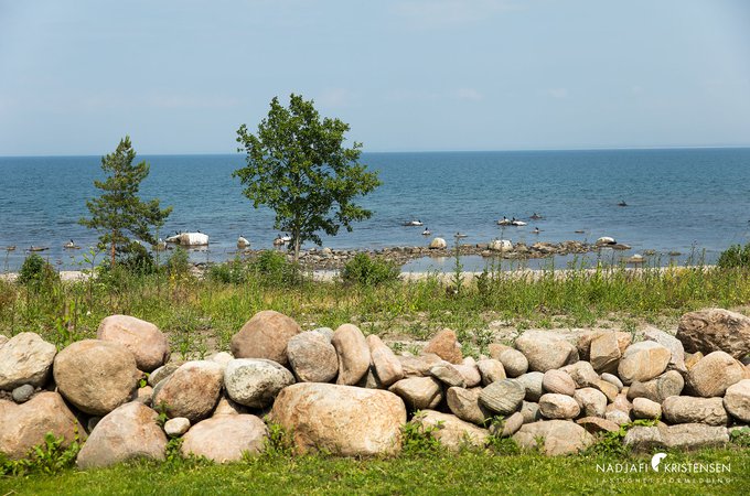 Kattviksvagen_309A_230619-25small.jpg
