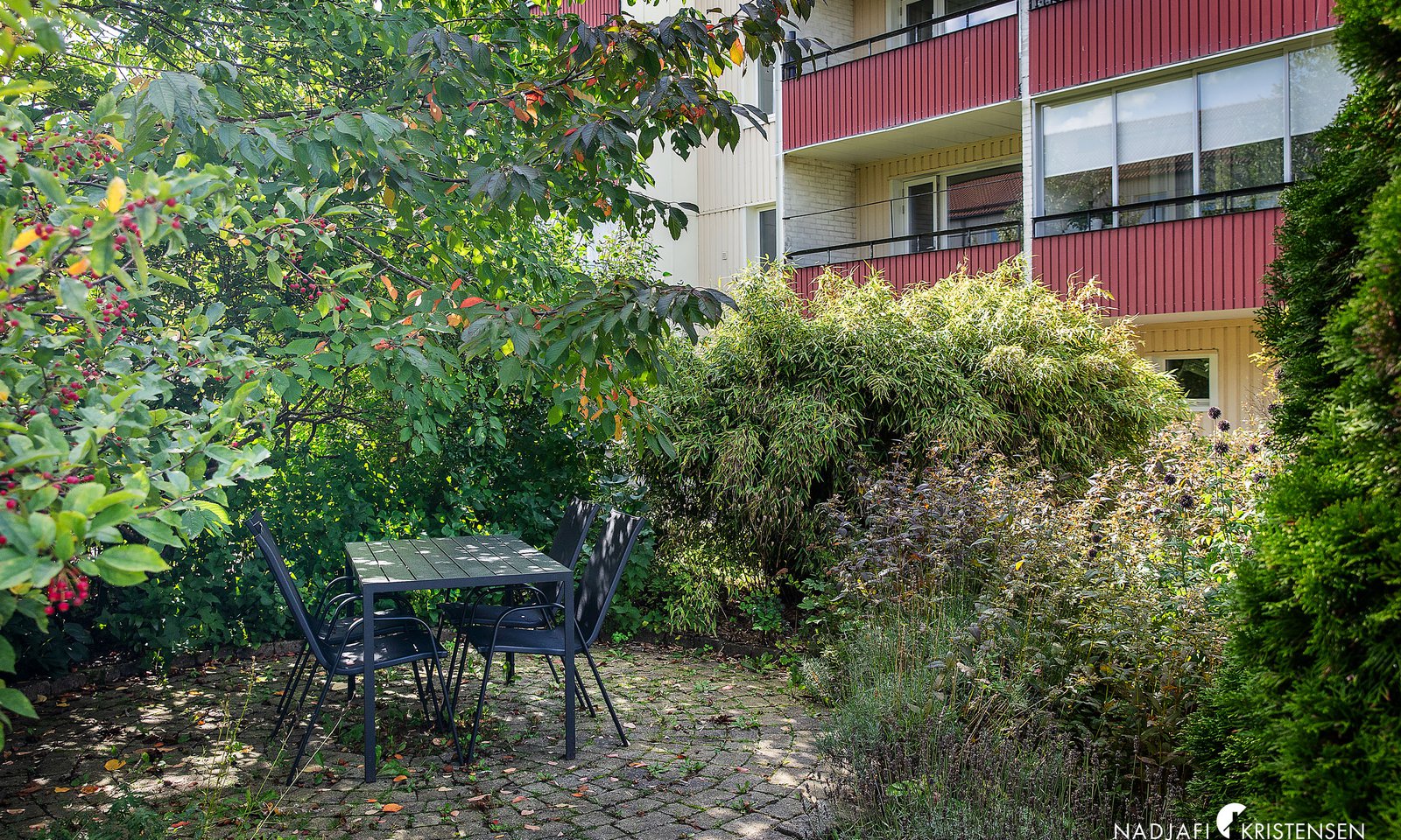 MEDB39F8A903E7C4D74A182BB97B6B7FF1F