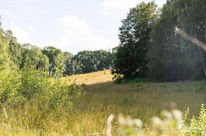 MEDBB61ED262DDE4CABADDE70BE4B3E1411