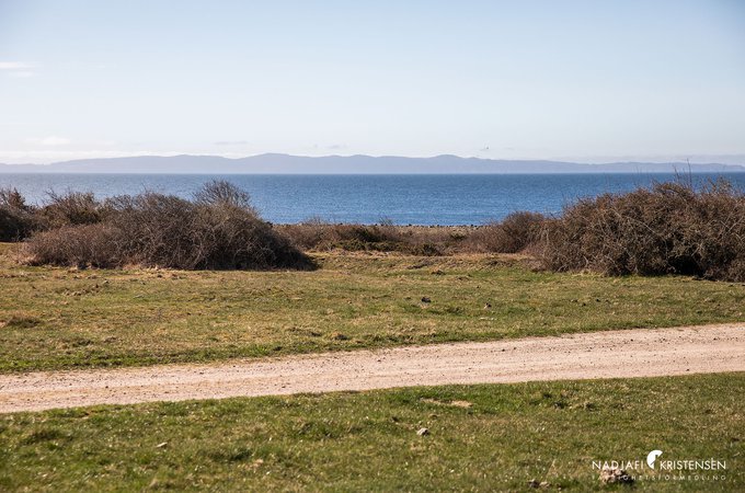 Burenviksvagen_256_250407-36small.jpg