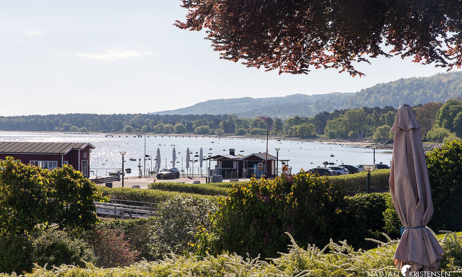 MEDBFB6AF7A496D430F99941B0FECA43682