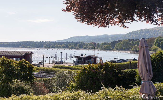 MEDBFB6AF7A496D430F99941B0FECA43682