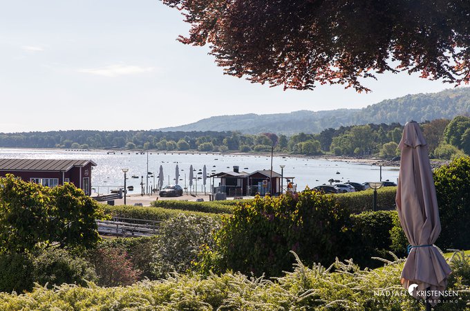 MEDBFB6AF7A496D430F99941B0FECA43682