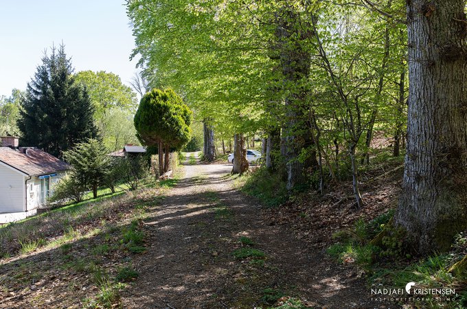 Erikstorpsvagen_tomt_250429-4small.jpg