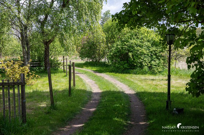 Hulrugeredsvagen_145_250515-01small.jpg