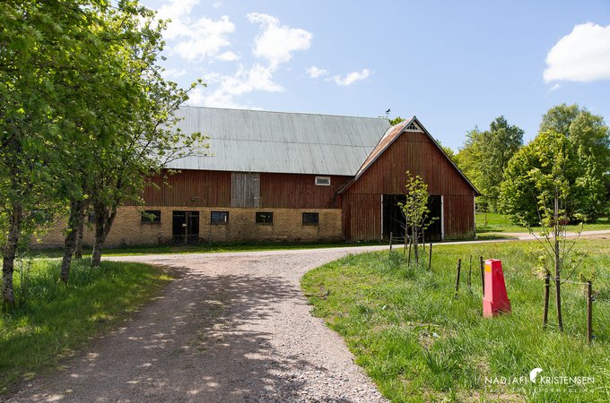 Hulrugeredsvagen_145_250515-11small.jpg