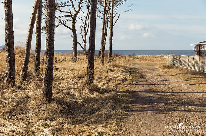 Ner till Sveriges längsta sandstrand