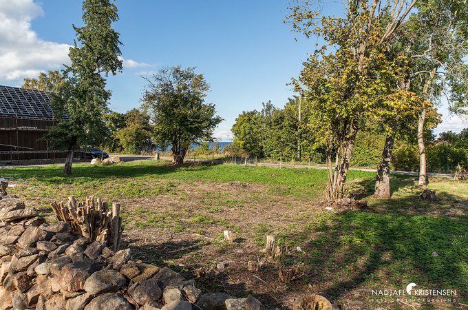 Kattviksvagen_TOMT_250902-06small.jpg