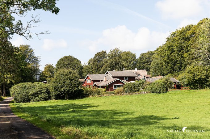 MEDDAA16C232925440DAA4E54162561BC1E