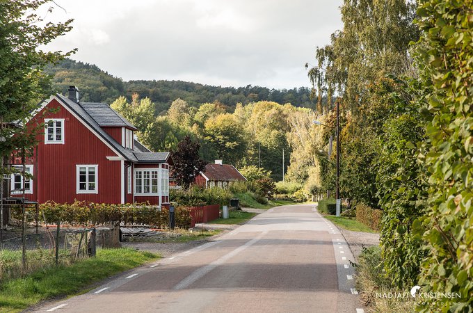 Kattviksvagen_TOMT_250902-11small.jpg