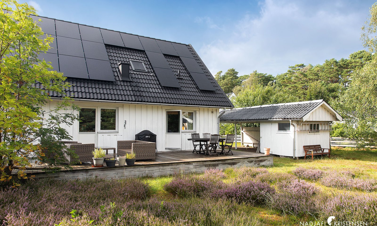 MEDED3B49D5A96E4B85853806AB583CD4D3