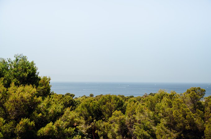 MEDEE6CDC4AEB5B460AAAF5D9B46BEF8F52