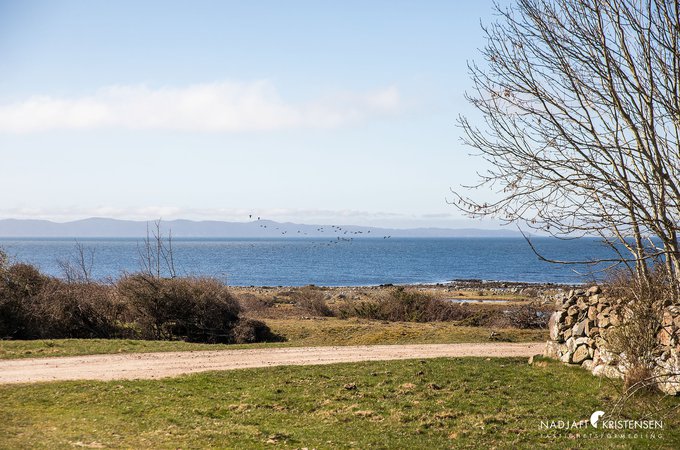 Burenviksvagen_256_250407-28small.jpg