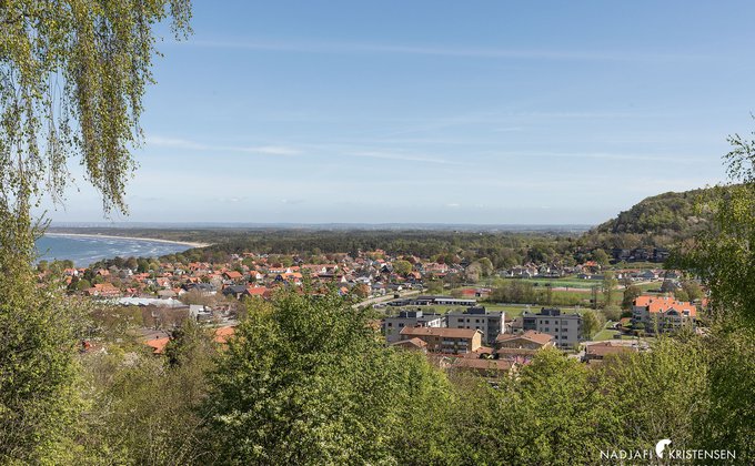 MEDF53FCBA67ECF47DB84371D12B7180029