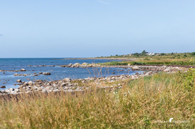 Klintavagen_7_250630-45small.jpg