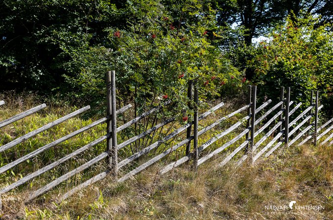 MEDF612EF29A97F43C0A67697FB8CD640FB