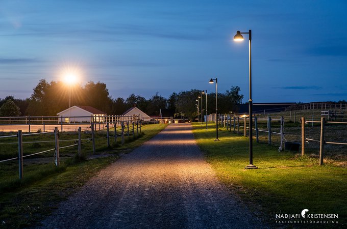 Notte_Backar_200_250507-01small.jpg
