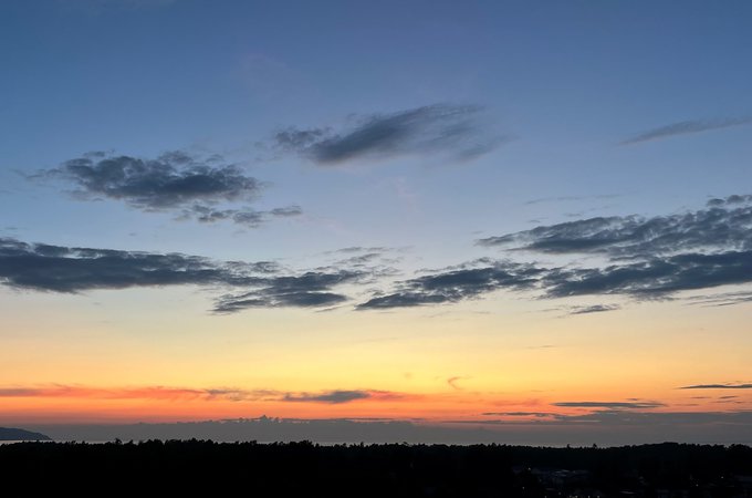 Bild11.jpg